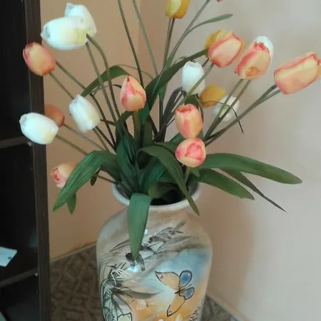 семеен пауталия Szálloda 2*